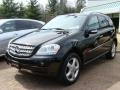 Black - ML 350 4Matic Photo No. 1