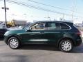 Jet Green Metallic - Cayenne  Photo No. 10