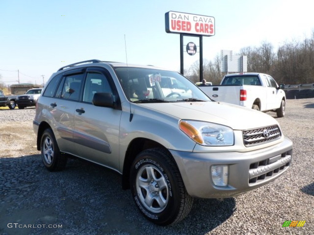 2003 RAV4 4WD - Vintage Gold / Taupe photo #1