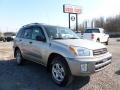 2003 Vintage Gold Toyota RAV4 4WD  photo #1