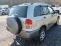 2003 Vintage Gold Toyota RAV4 4WD  photo #6