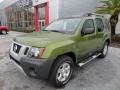 2012 Metallic Green Nissan Xterra S  photo #1