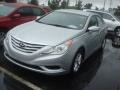 Radiant Silver - Sonata GLS Photo No. 3