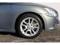 Mystic Jade Metallic - Maxima 3.5 SV Photo No. 8