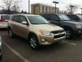 Sandy Beach Metallic - RAV4 Limited 4WD Photo No. 1