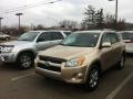 Sandy Beach Metallic - RAV4 Limited 4WD Photo No. 2
