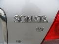 Bright Silver - Sonata GLS V6 Photo No. 15