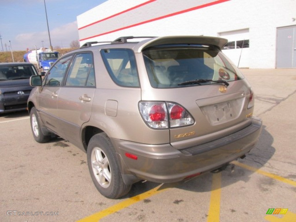 2001 RX 300 AWD - Burnished Gold Metallic / Ivory photo #4
