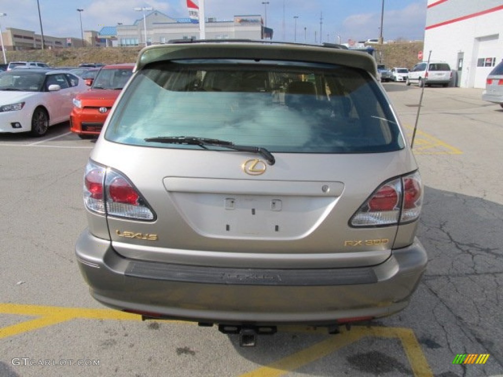 2001 RX 300 AWD - Burnished Gold Metallic / Ivory photo #5
