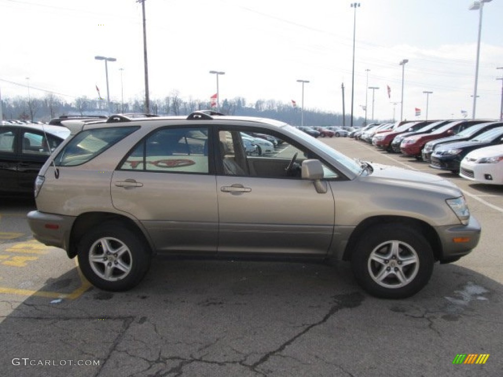 2001 RX 300 AWD - Burnished Gold Metallic / Ivory photo #7