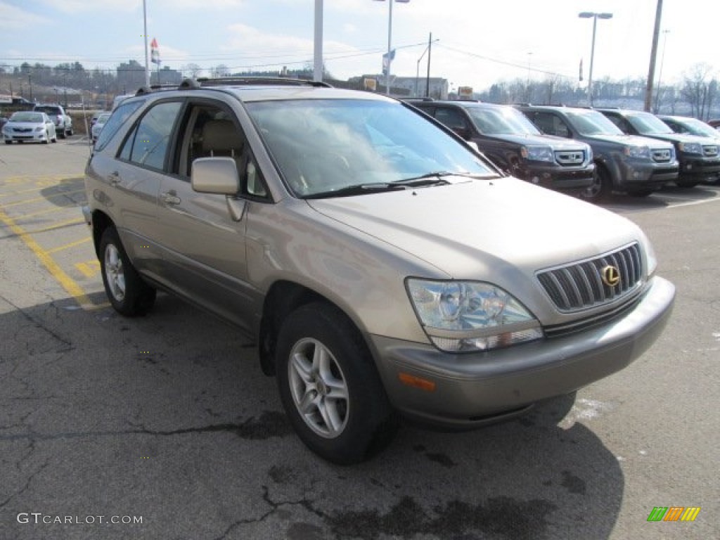 2001 RX 300 AWD - Burnished Gold Metallic / Ivory photo #8