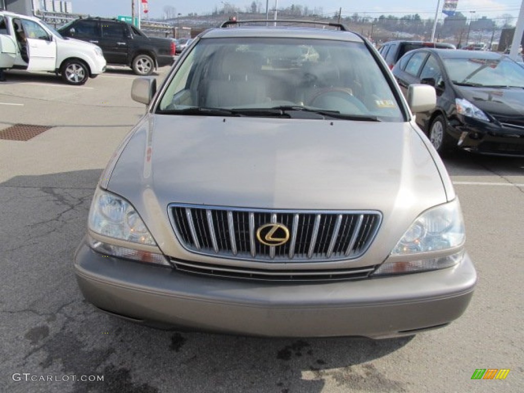 2001 RX 300 AWD - Burnished Gold Metallic / Ivory photo #9