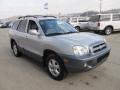 RZ - Smart Silver Hyundai Santa Fe (2005)