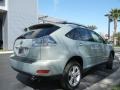 Bamboo Pearl - RX 400h AWD Hybrid Photo No. 6