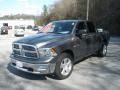 2010 Mineral Gray Metallic Dodge Ram 1500 Big Horn Crew Cab 4x4  photo #13