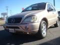 Desert Silver Metallic - ML 320 4Matic Photo No. 1