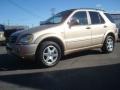 Desert Silver Metallic - ML 320 4Matic Photo No. 2