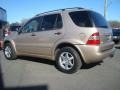 Desert Silver Metallic - ML 320 4Matic Photo No. 3