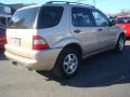 Desert Silver Metallic - ML 320 4Matic Photo No. 5