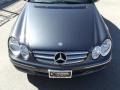 Steel Grey Metallic - CLK 350 Cabriolet Photo No. 11