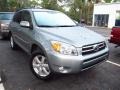 2007 Everglade Metallic Toyota RAV4 Limited  photo #1