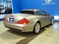 2005 Pewter Metallic Mercedes-Benz SL 500 Roadster  photo #13