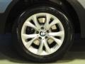 2009 Mineral Green Metallic BMW X3 xDrive30i  photo #30
