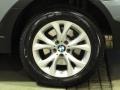 2009 Mineral Green Metallic BMW X3 xDrive30i  photo #33