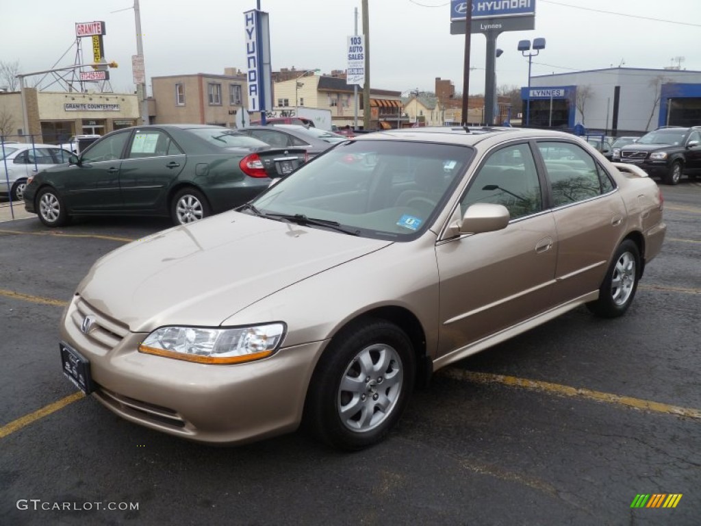 2002 Accord EX Sedan - Naples Gold Metallic / Ivory photo #3
