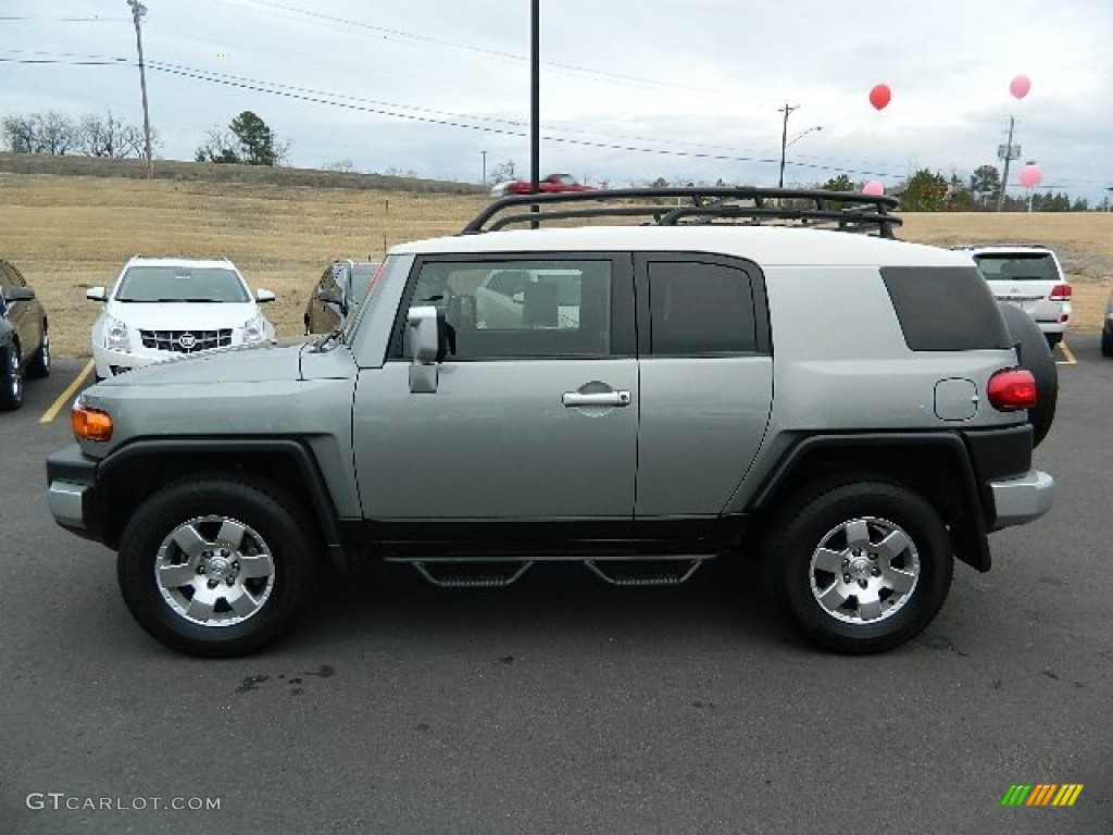 Silver Fresco Metallic 2010 Toyota FJ Cruiser 4WD Exterior Photo #60790253