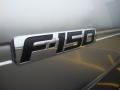 2011 Sterling Grey Metallic Ford F150 Platinum SuperCrew 4x4  photo #8