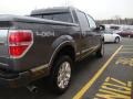 2011 Sterling Grey Metallic Ford F150 Platinum SuperCrew 4x4  photo #14