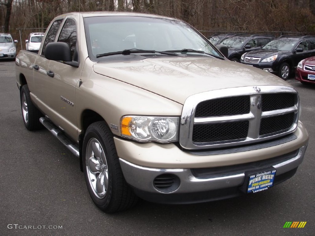 2004 Ram 1500 SLT Quad Cab - Light Almond Pearl / Dark Slate Gray photo #3