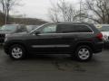 Dark Charcoal Pearl - Grand Cherokee Laredo 4x4 Photo No. 12