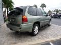 Silver Green Metallic - Envoy SLT Photo No. 20