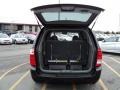 2010 Midnight Black Kia Sedona LX  photo #9