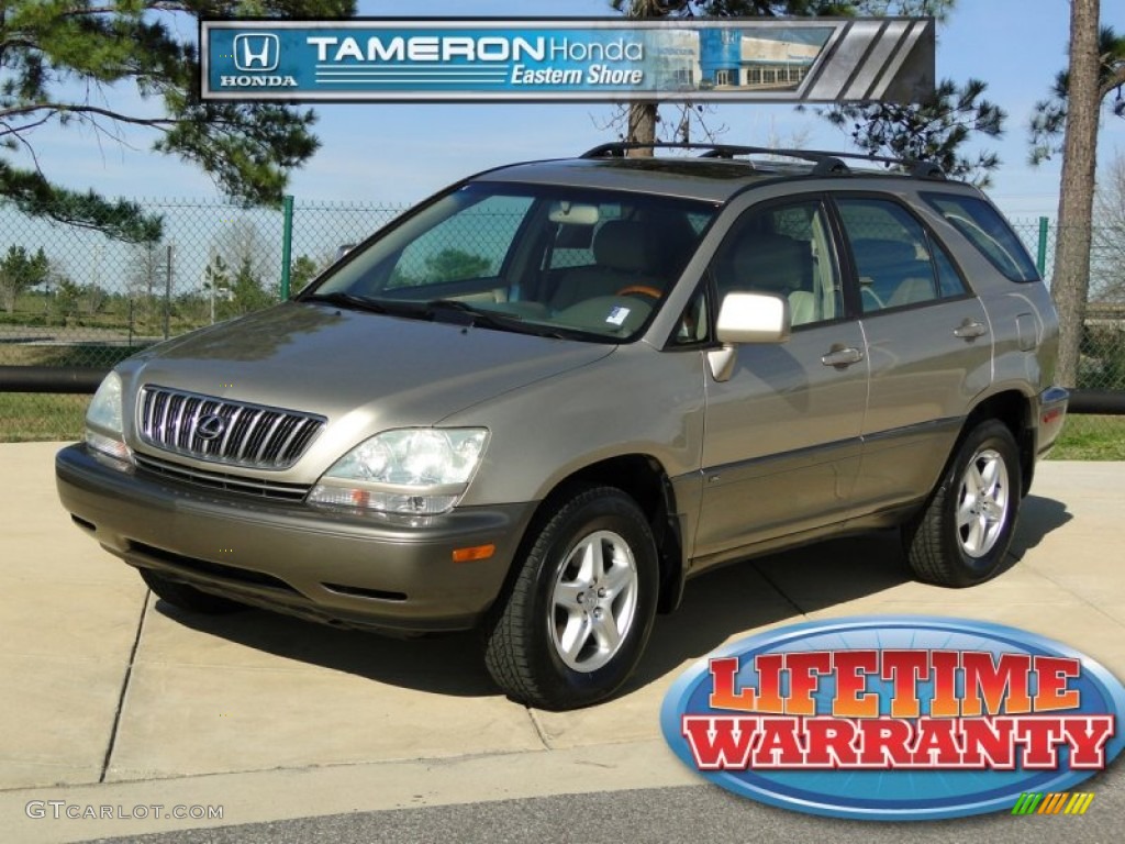 2003 RX 300 - Burnished Gold Metallic / Ivory photo #1