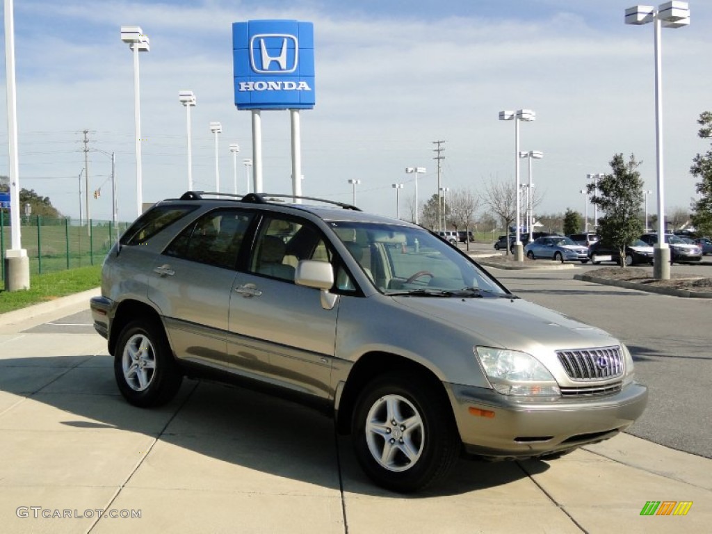 2003 RX 300 - Burnished Gold Metallic / Ivory photo #2
