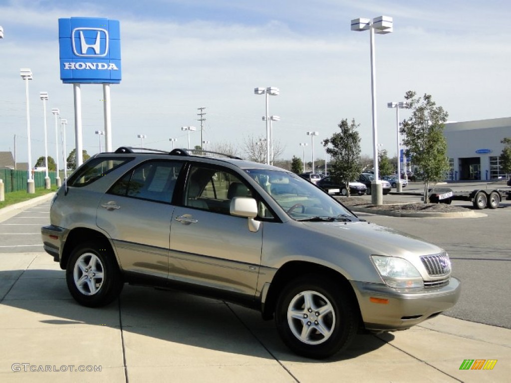 2003 RX 300 - Burnished Gold Metallic / Ivory photo #3