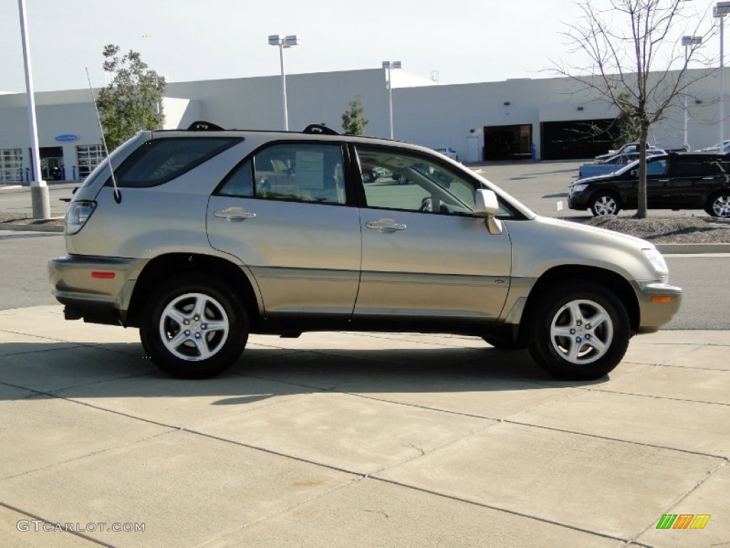 2003 RX 300 - Burnished Gold Metallic / Ivory photo #4