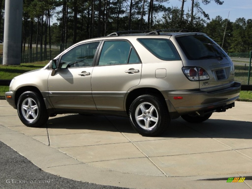 2003 RX 300 - Burnished Gold Metallic / Ivory photo #6