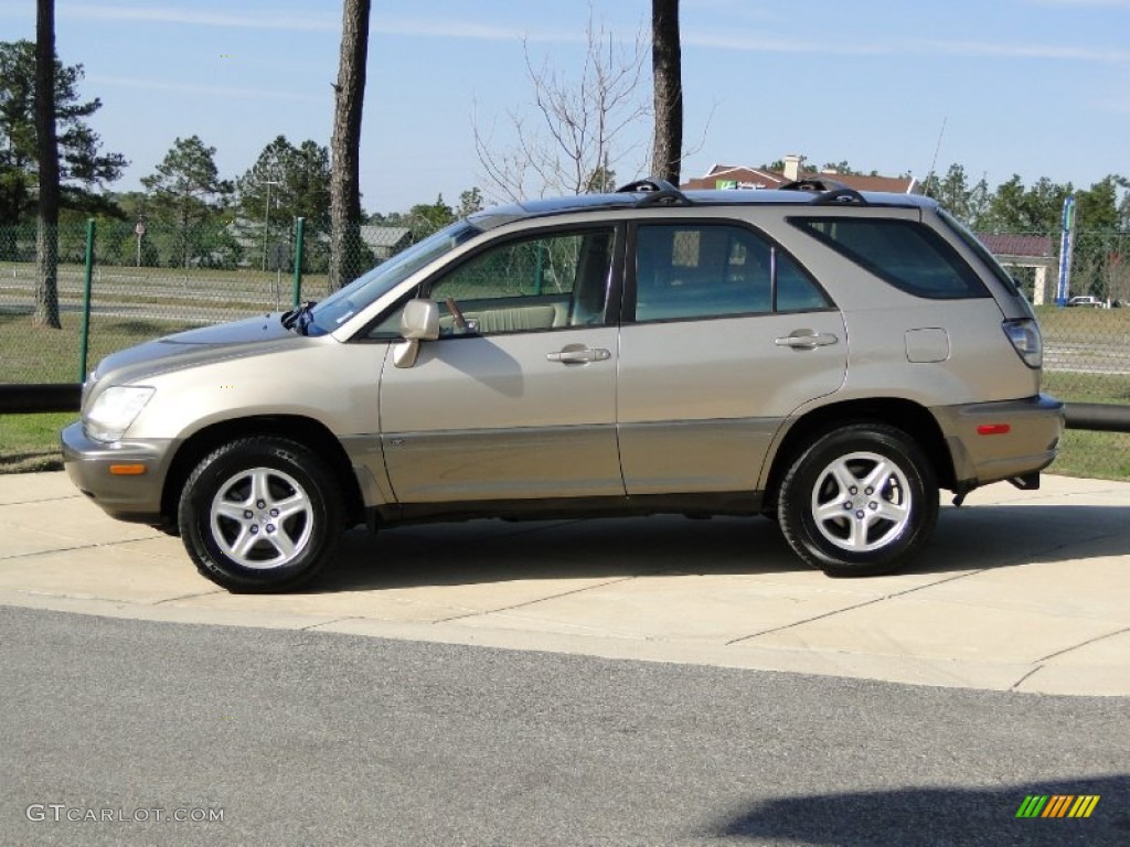 2003 RX 300 - Burnished Gold Metallic / Ivory photo #8