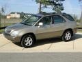 Burnished Gold Metallic - RX 300 Photo No. 9