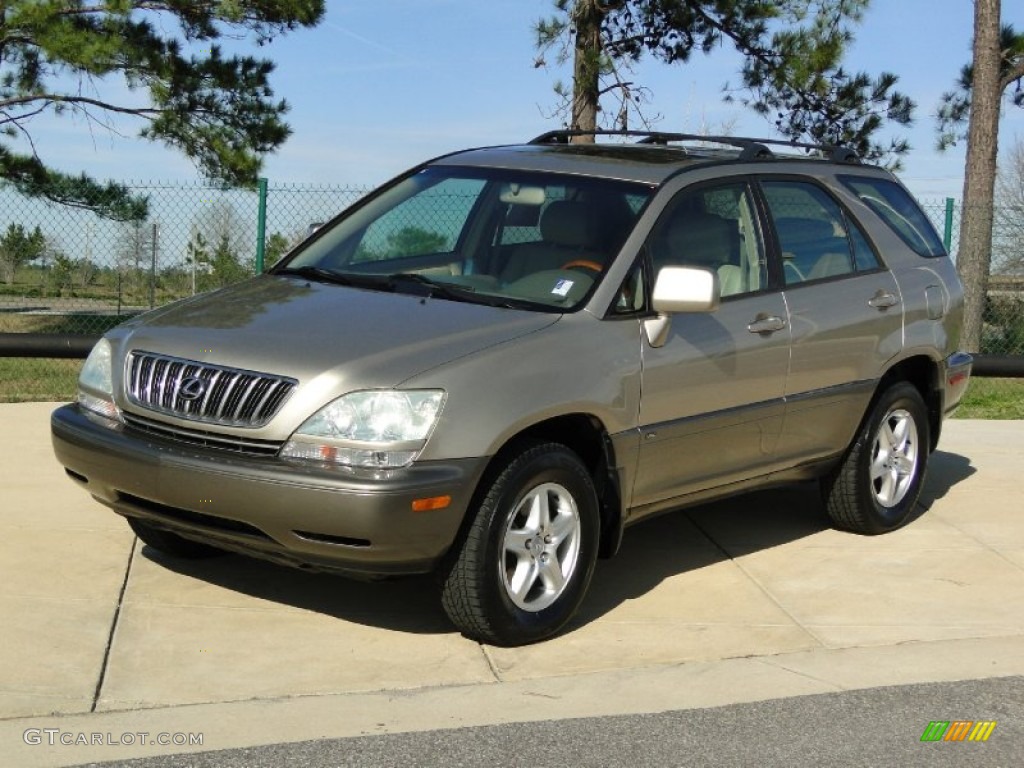 2003 RX 300 - Burnished Gold Metallic / Ivory photo #10