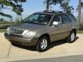 Burnished Gold Metallic - RX 300 Photo No. 10