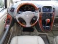 Burnished Gold Metallic - RX 300 Photo No. 19