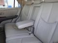 Burnished Gold Metallic - RX 300 Photo No. 27