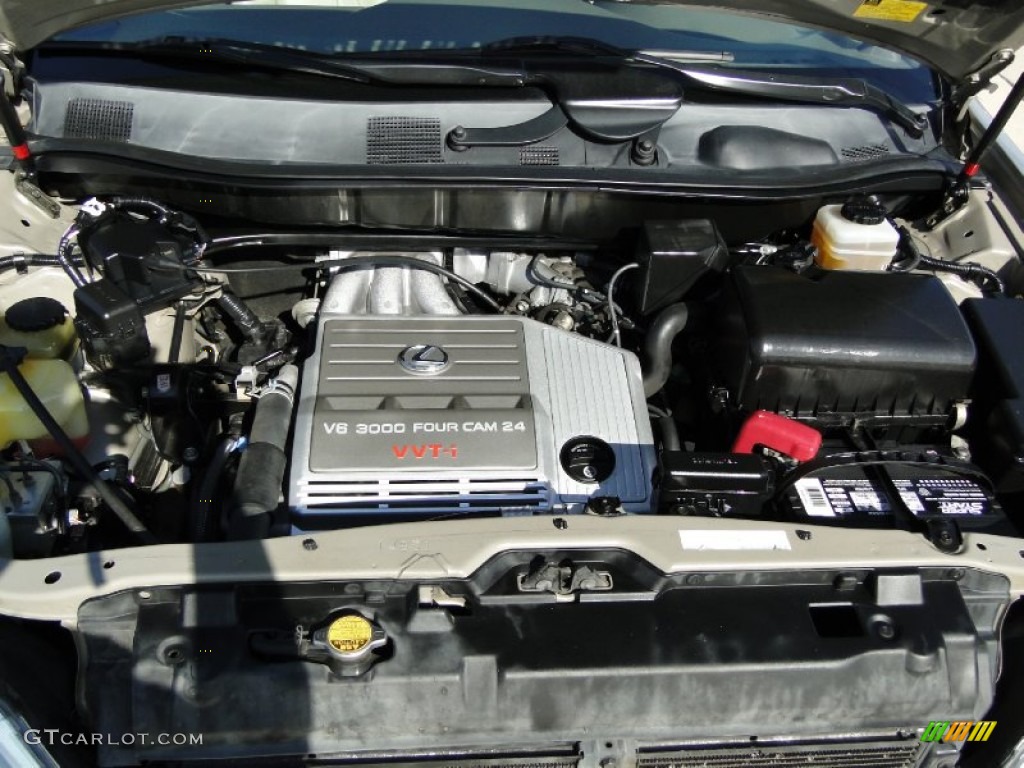 2003 RX 300 - Burnished Gold Metallic / Ivory photo #33