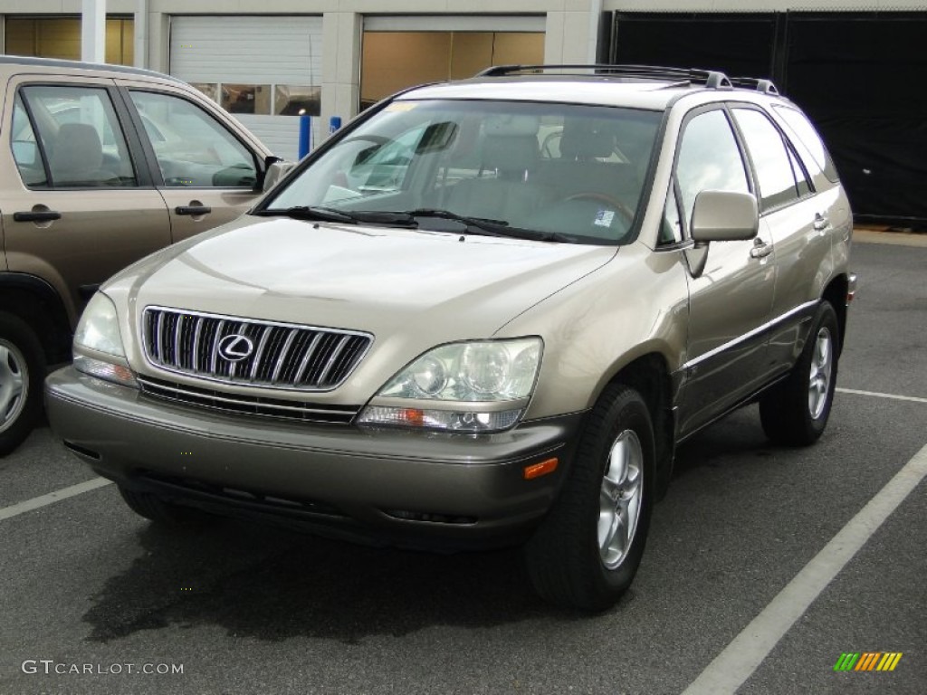 2003 RX 300 - Burnished Gold Metallic / Ivory photo #39