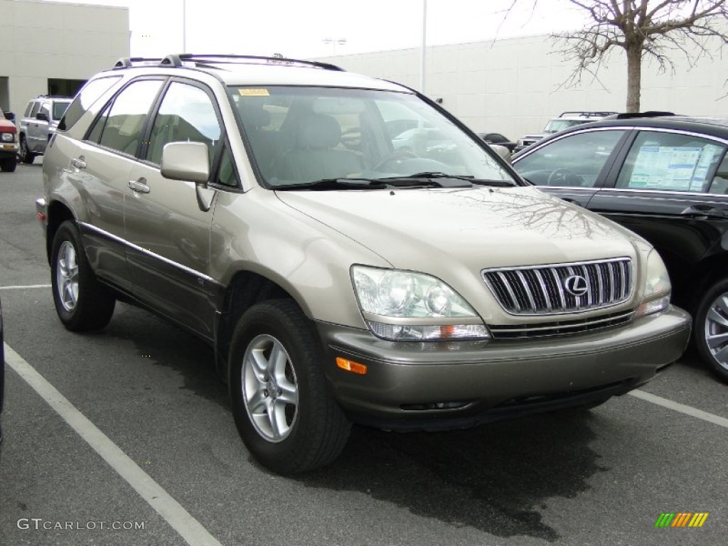 2003 RX 300 - Burnished Gold Metallic / Ivory photo #40